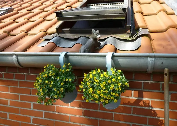 Gerda Gerdes Apartamento Uplengen